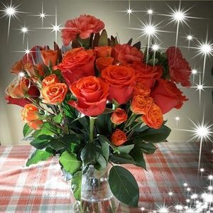 Meet your Posher, Gail